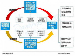 2016中國電商數(shù)字營銷市場專題報告 數(shù)字技術服務的崛起與變革
