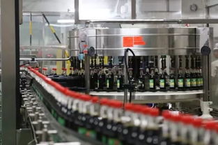 數(shù)字技術服務暗流洶涌 湖南知名企業(yè)47億“蛇吞象”收購背后的危機警示