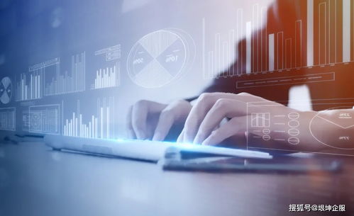 數(shù)字技術(shù)服務(wù)企業(yè)政策申報秘籍 成功率提升100%的實操指南